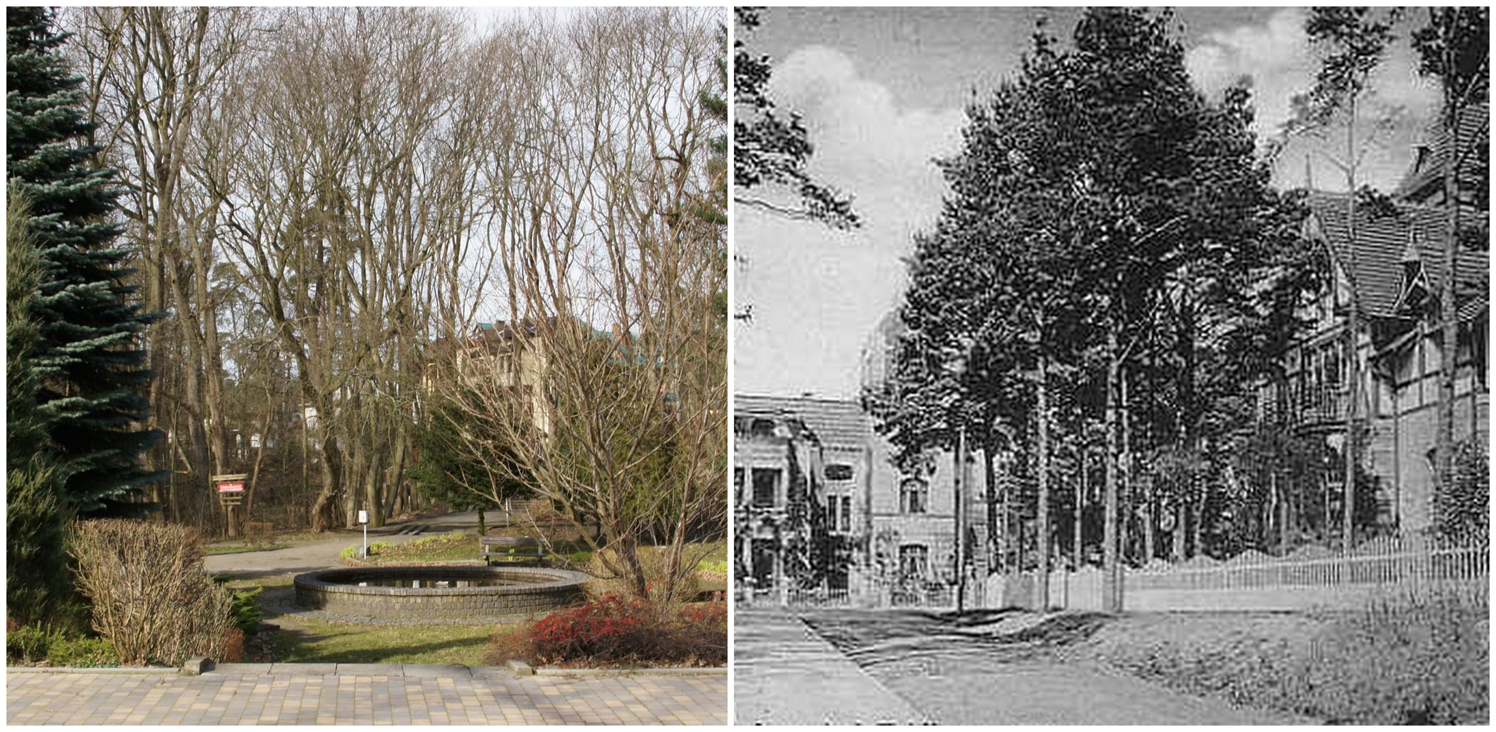 (Fot. UM Krynica Morska)