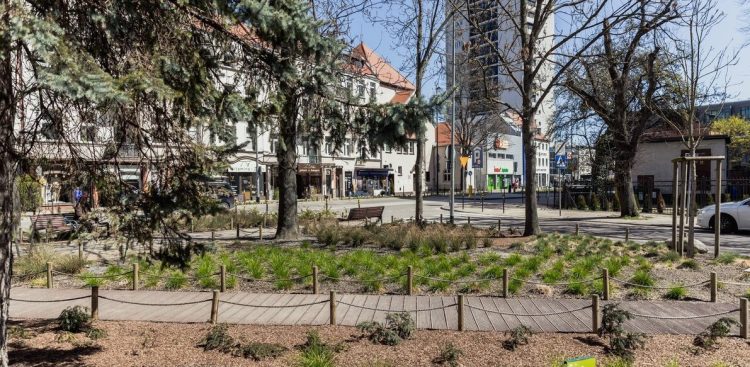 (Fot. mat. pras. UM w Gdańsku)