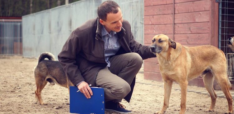 Fot. Łukasz Balcer/Facebook.com