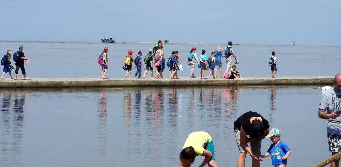 (Fot. GBPW "Kuling")