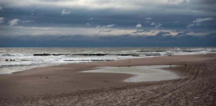 Falochron z drewnianych pali na plaży nad Bałtykiem, w Chałupach (fot. PAP/Michał Zieliński)