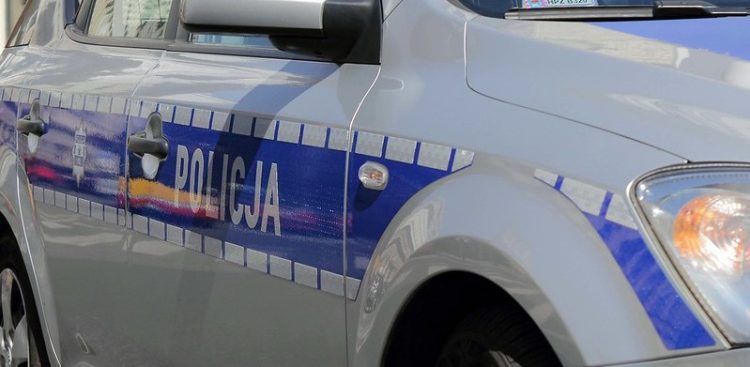 (fot. Flickr/Lukas Plewnia)