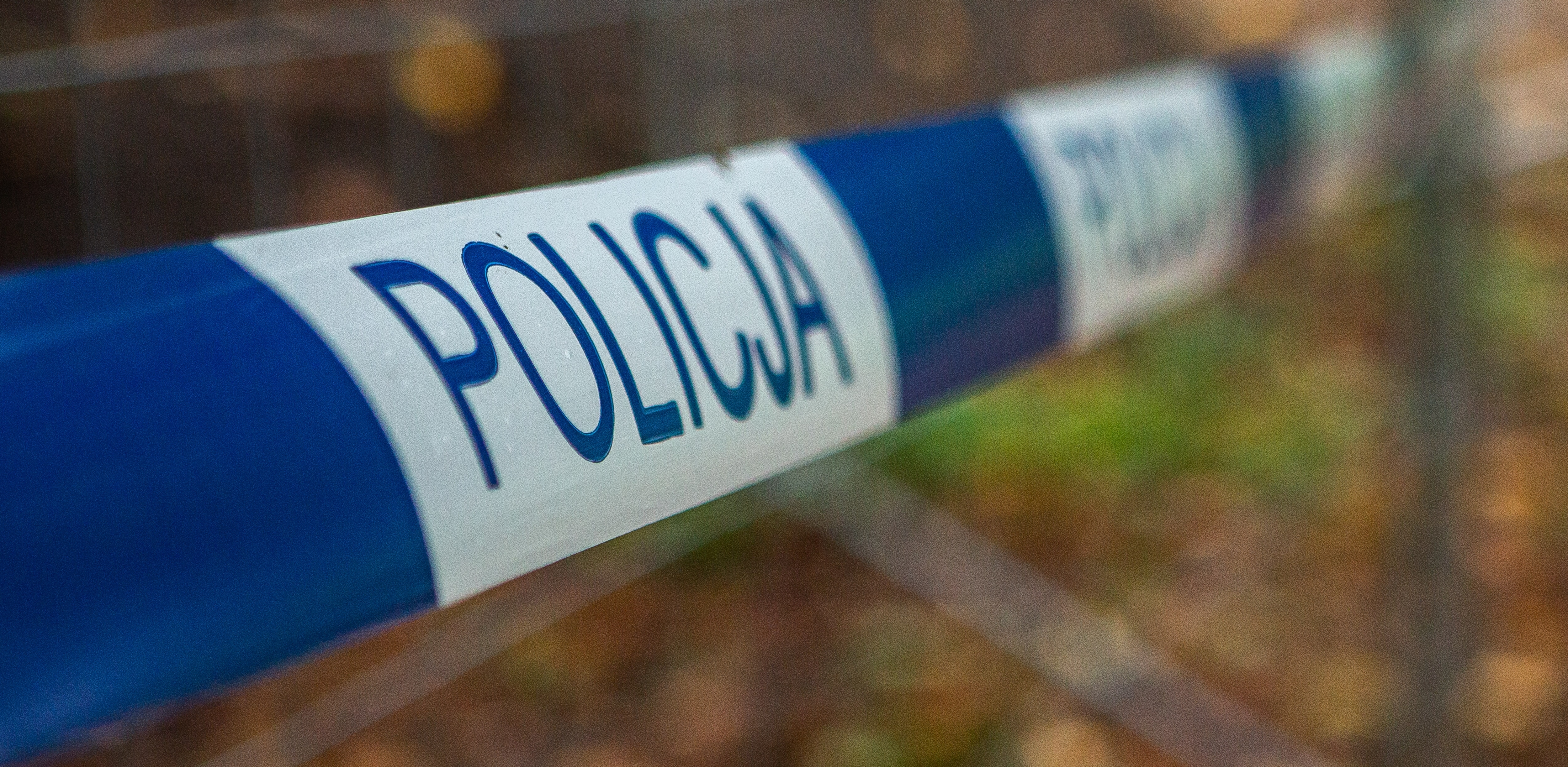 (fot. Anna Rezulak / KFP)