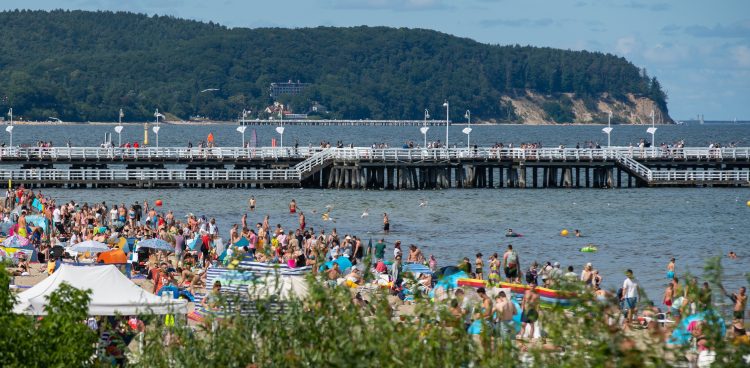 (Fot. Anna Rezulak / KFP)