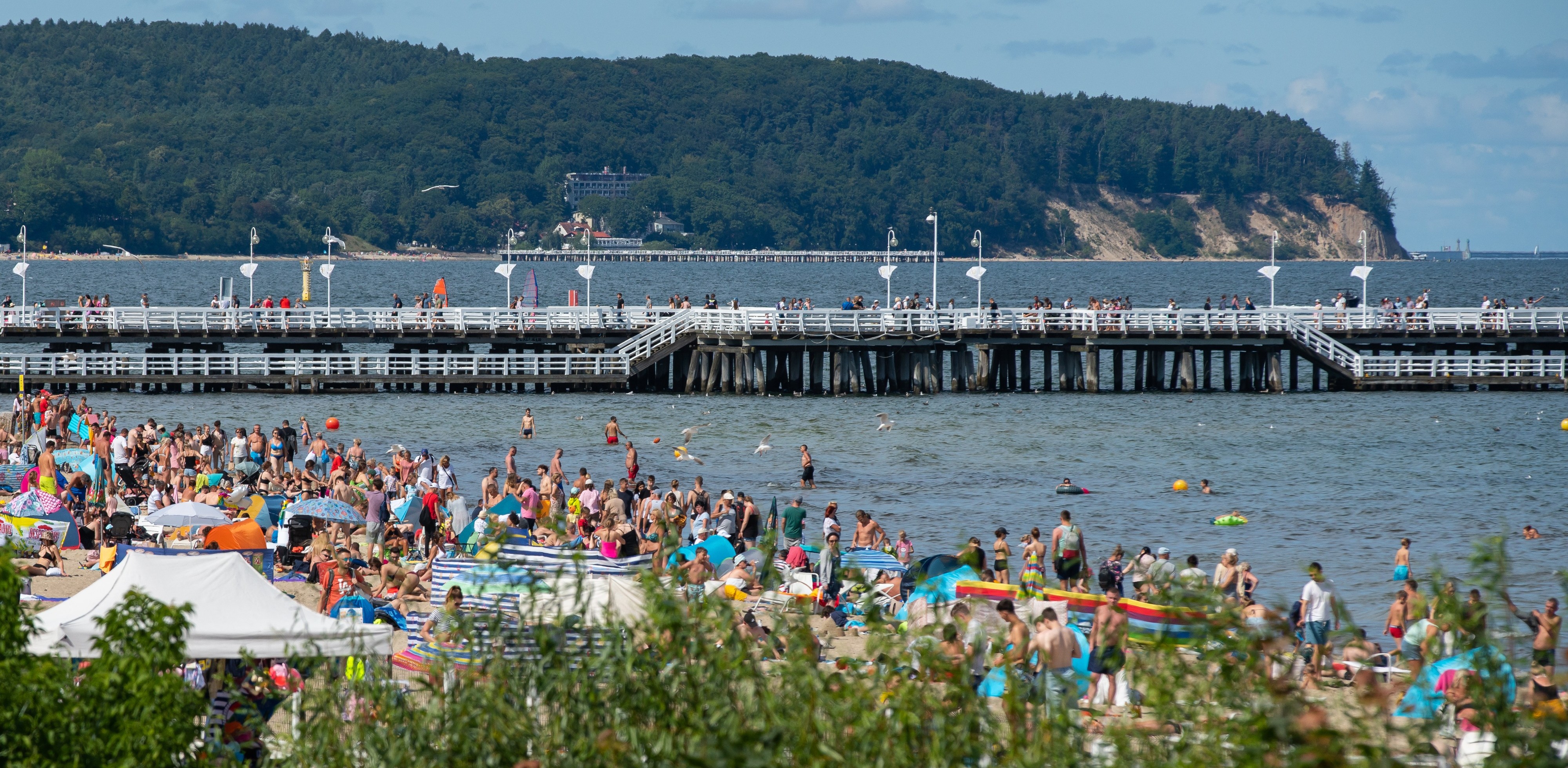 (Fot. Anna Rezulak / KFP)