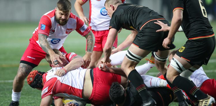 (fot. 400mm.pl/Wojciech Figurski)