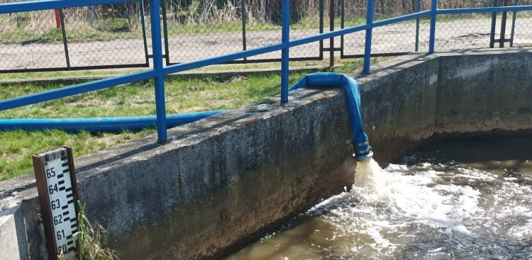 (Fot. Radio Gdańsk/Aleksandra Nietopiel)