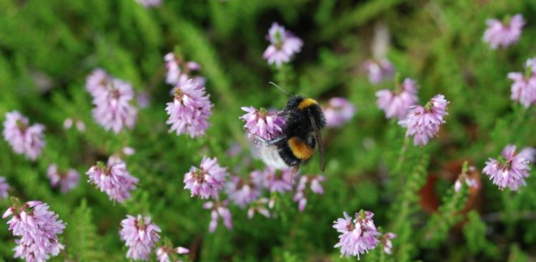 Fot. Łukasz Fuglewicz / SPN