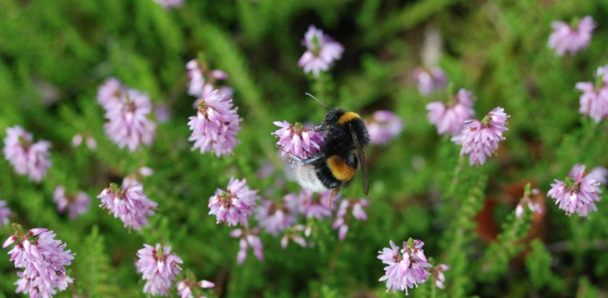 Fot. Łukasz Fuglewicz / SPN