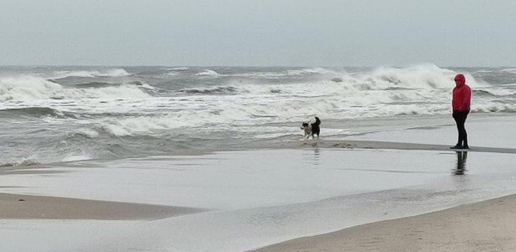 (Fot. Radio Gdańsk/Rafał Korbut)