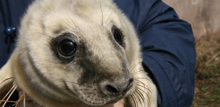 (Fot. Krzysztof E. Skora / KFP)