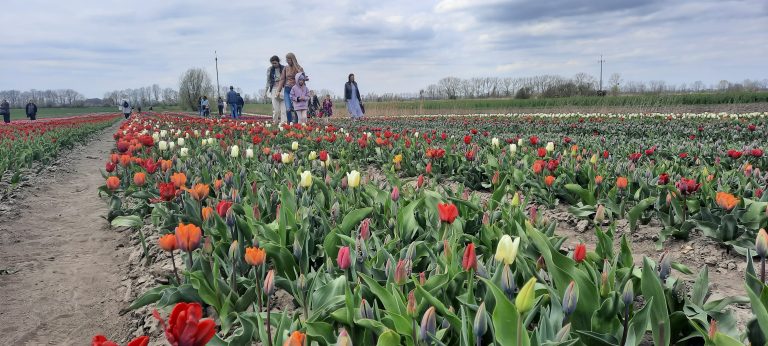 (fot. Radio Gdańsk/Aleksandra Nietopiel)