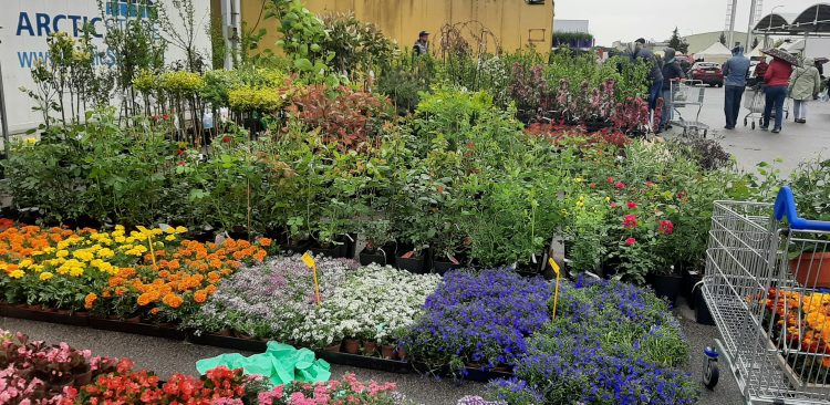 (fot. Radio Gdańsk/Sebastian Kwiatkowski)