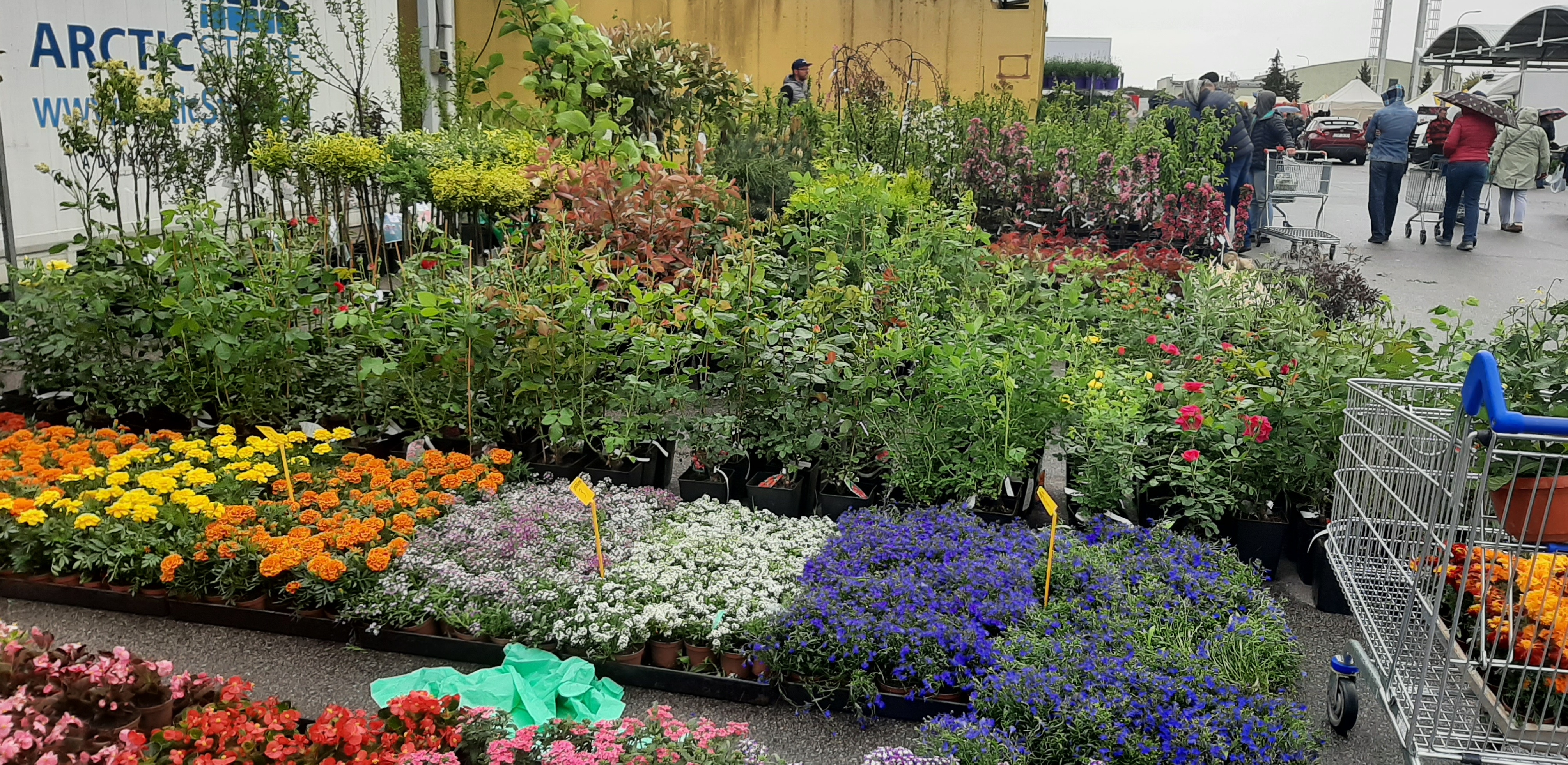 (fot. Radio Gdańsk/Sebastian Kwiatkowski)