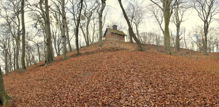 (fot. Parafia Rzymskokatolicka Świętego Wojciecha w Gdańsku)