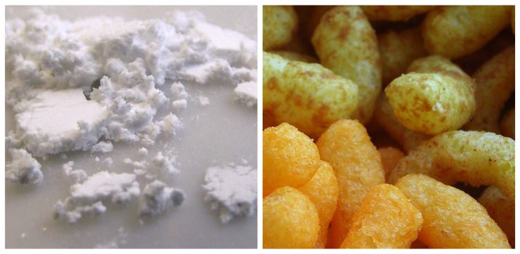 (Fot. Wikimedia Commons/Pixabay)