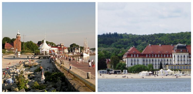 (Fot. Wikimedia Commons/Pixabay)