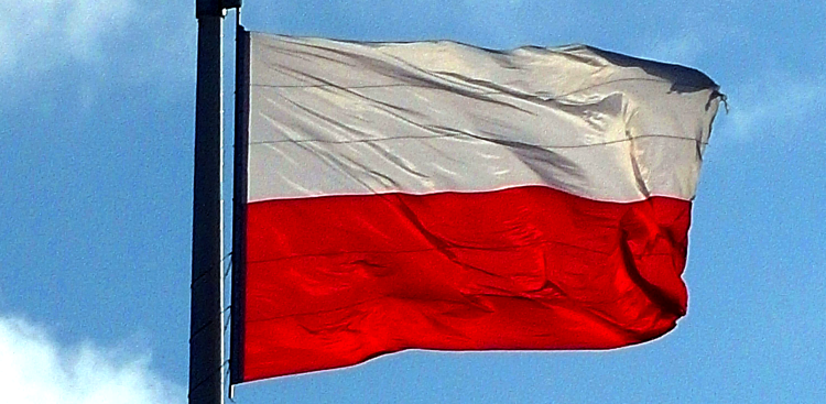 (fot. Wikimedia Commons/Mathiasrex, Maciej Szczepańczyk)