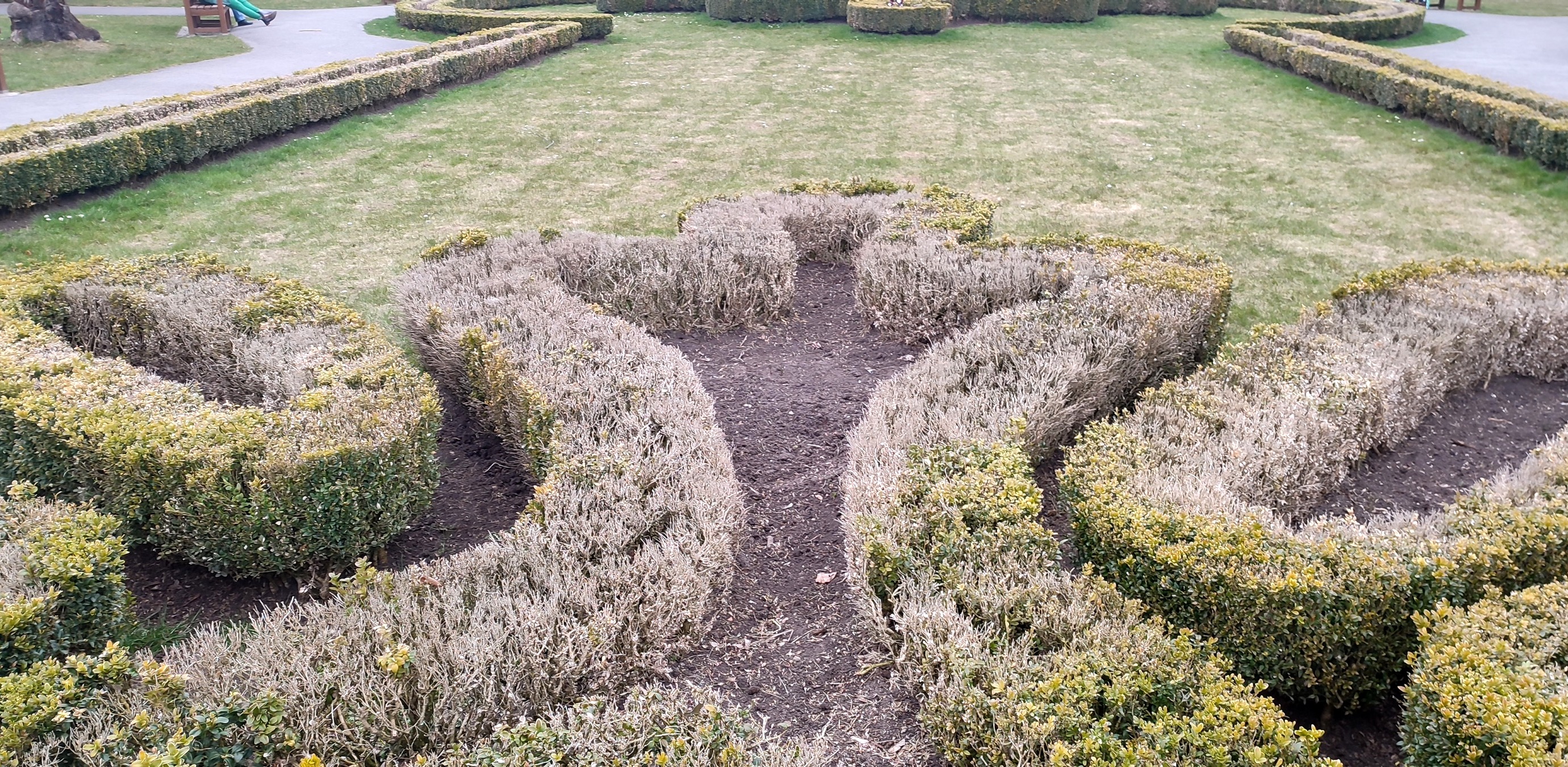 (Fot. Witold Burkiewicz)