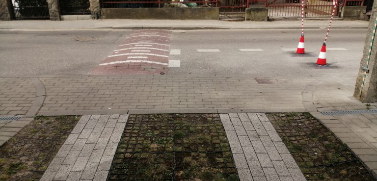 (fot. Radio Gdańsk/Krzysztof Korbut)