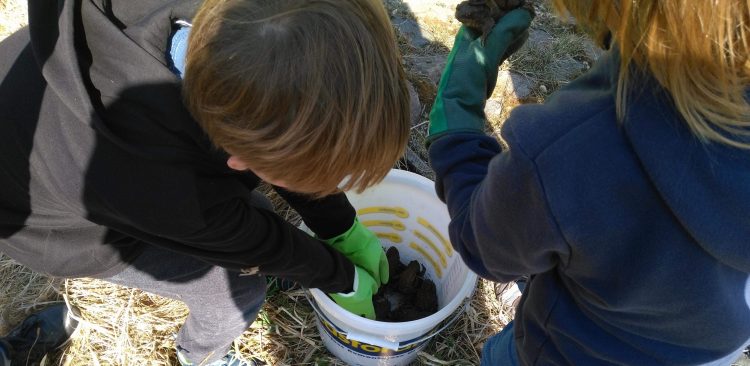 (Fot. Nadleśnictwo Gdańsk)