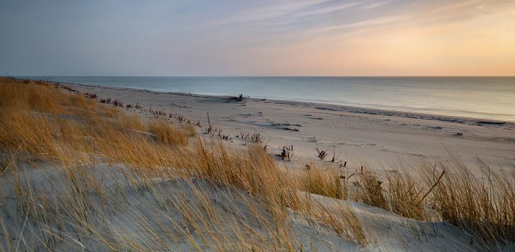 (Fot. Jan harb Sieminski/KFP)