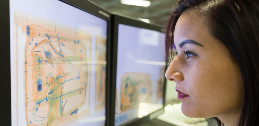 (Fot. smithsdetection.com)