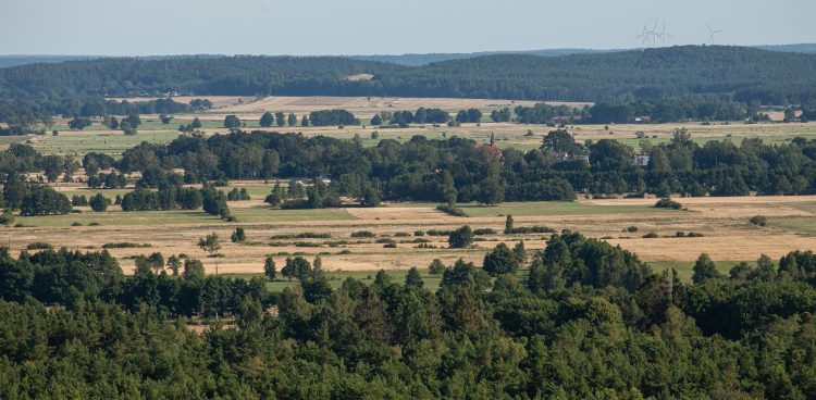 (Fot. Anna Rezulak/KFP)