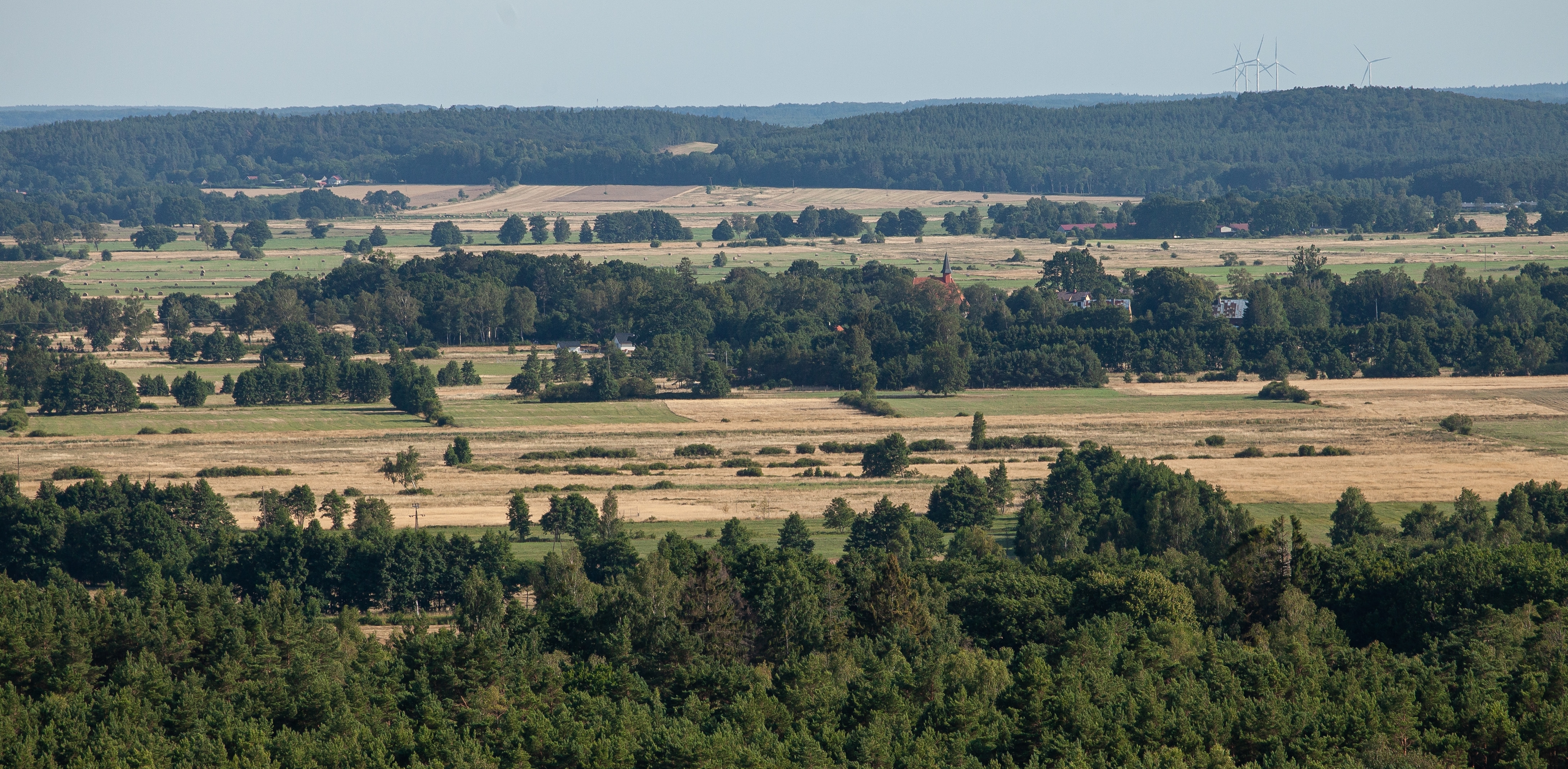 (Fot. Anna Rezulak/KFP)