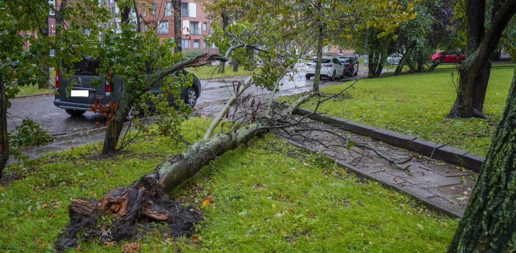 (Fot. Paweł Marcinko / KFP)
