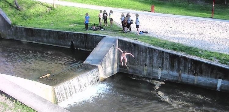 (Fot. Straż Miejska w Elblągu)