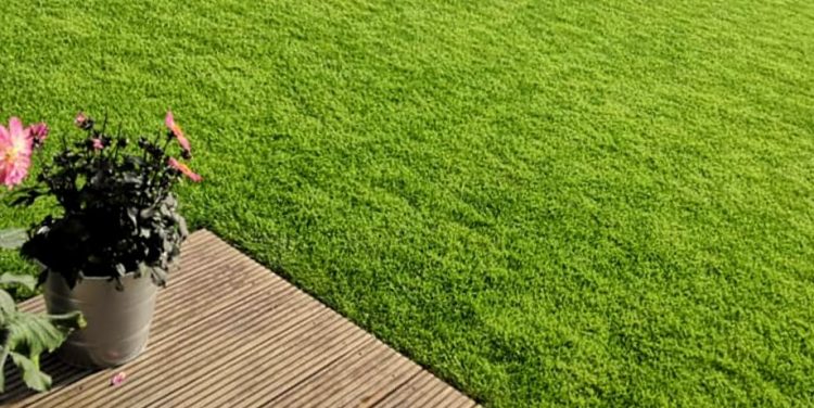 (fot. Agnieszka Hubeny-Żukowska)