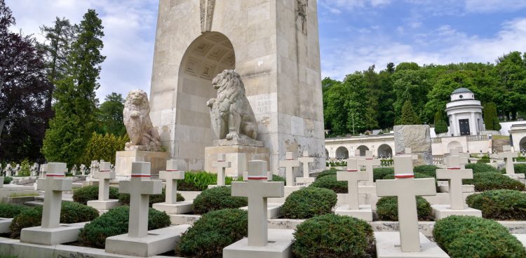 Odsłonięte posągi lwów strzegących wejścia na Cmentarz Orląt Lwowskich będący częścią Cmentarza Łyczakowskiego we Lwowie (fot. PAP/Vitaliy Hrabar)