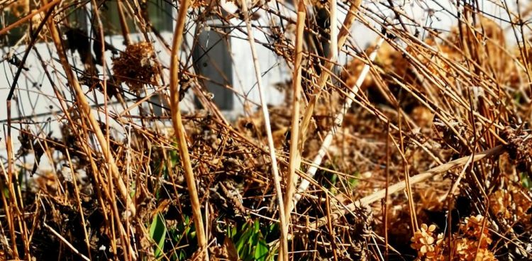 (fot. Agnieszka Hubeny-Żukowska)