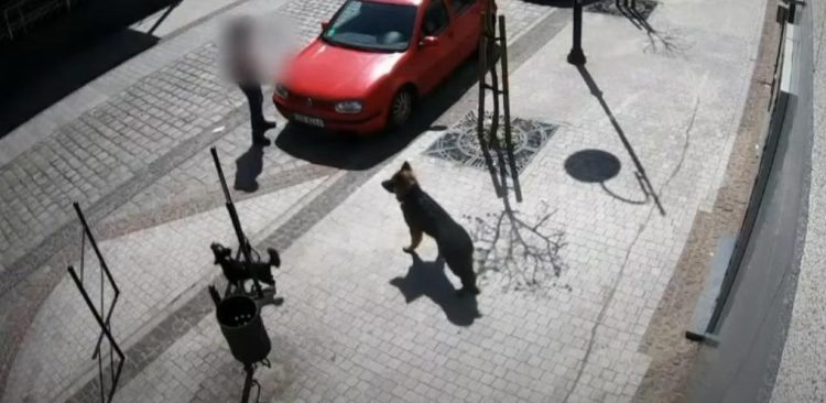 (fot. Screenshot Youtube/Pomorska Policja)