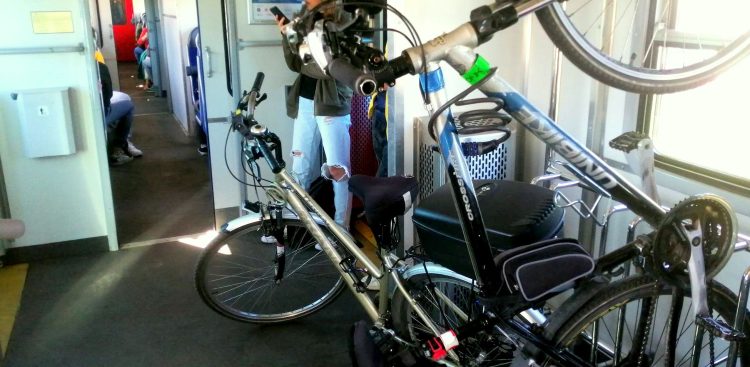 (Fot. Radio Gdańsk/Krzysztof Korbut)