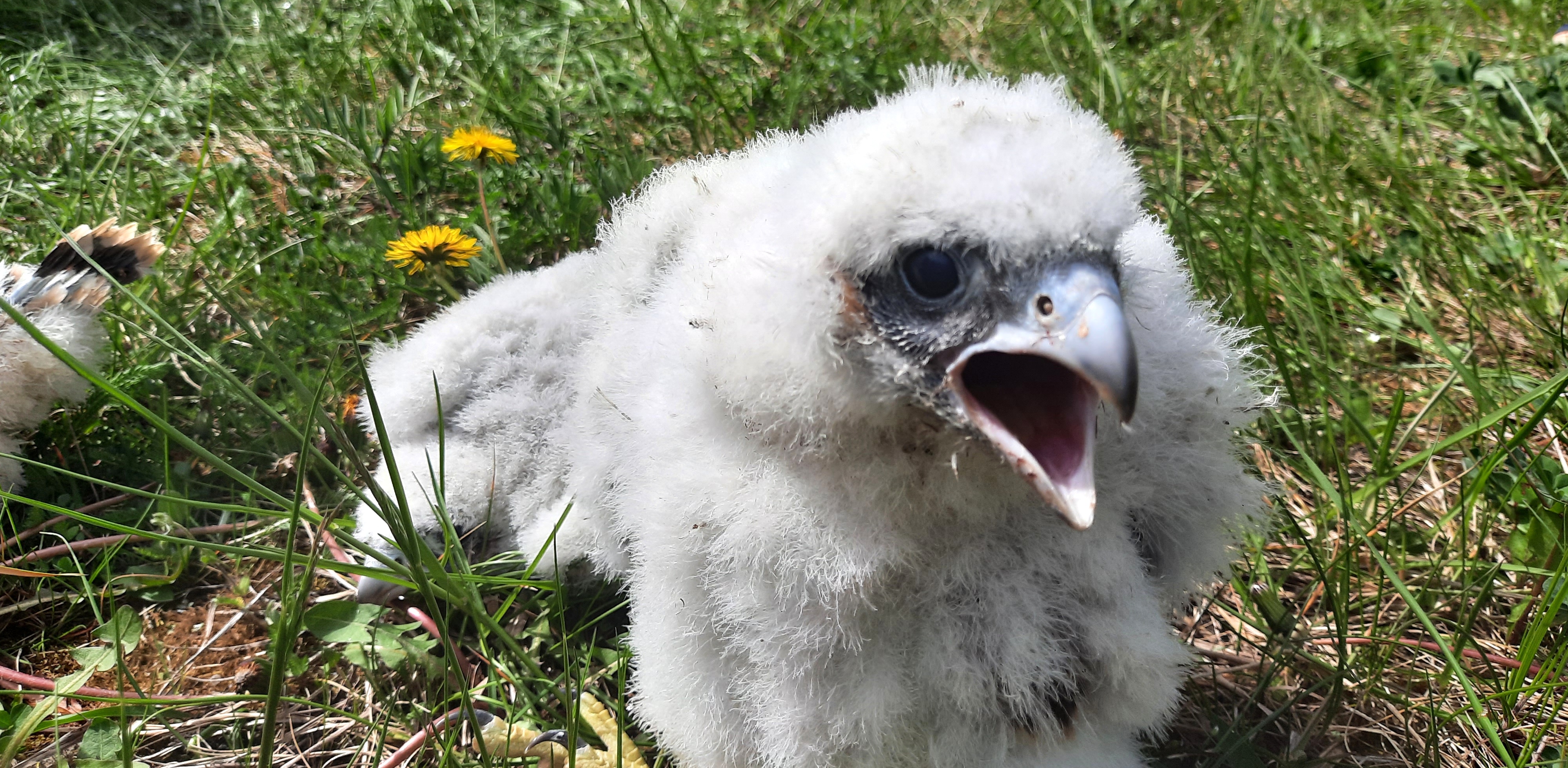 (Fot. Radio Gdańsk/Marcin Lange)
