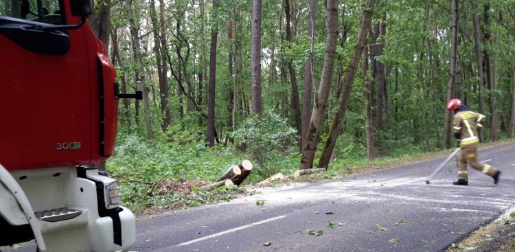 (Fot. KP PSP w Chojnicach)