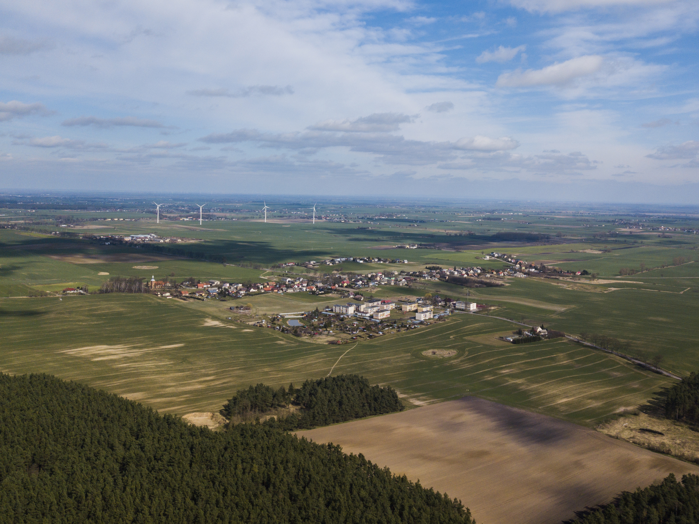 (Fot. Krzysztof Mania/KFP)