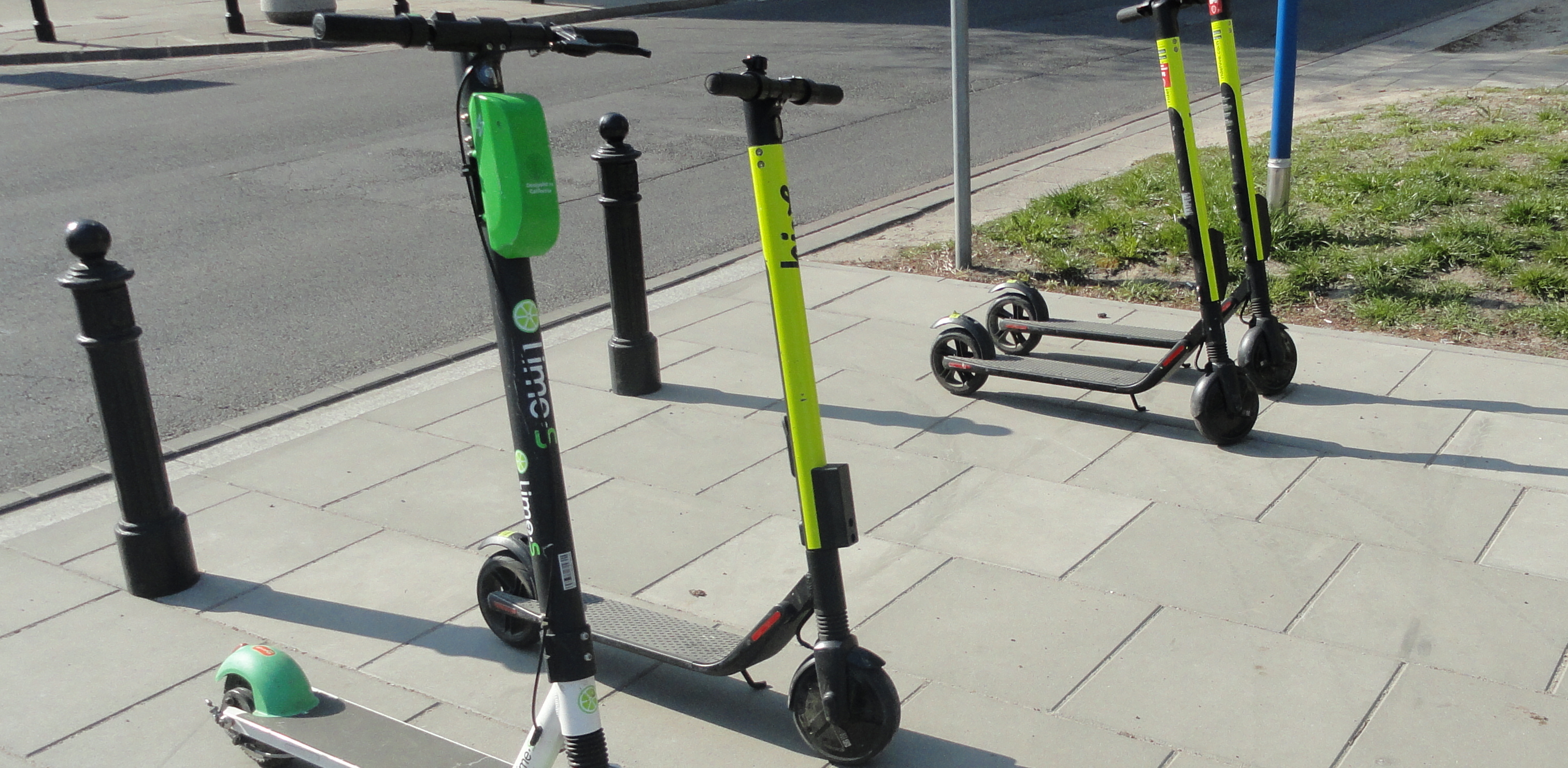 (Fot. Wikimedia Commons)