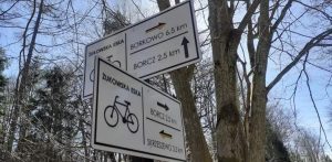 (Fot. Tomasz Szymkowiak)