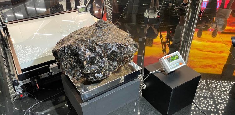 (fot. Radio Gdańsk/Daniel Wojciechowski)