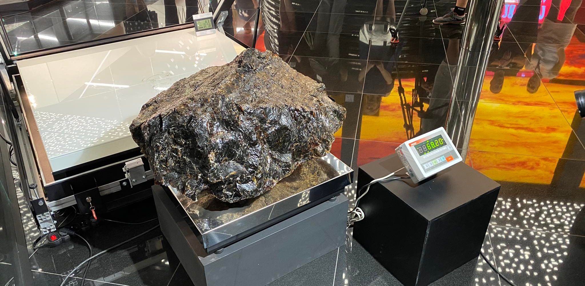 (fot. Radio Gdańsk/Daniel Wojciechowski)