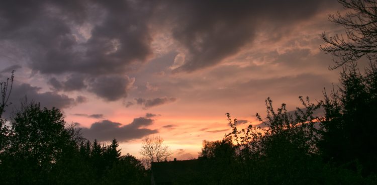 (Fot. Daniel Sloboda / KFP)