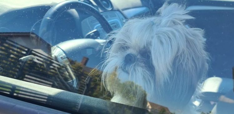 (Fot. Radio Gdańsk/Grzegorz Armatowski)