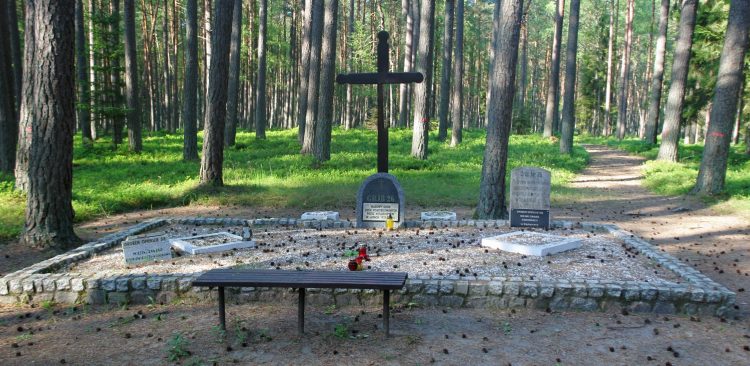 (Fot. wikimedia commons)