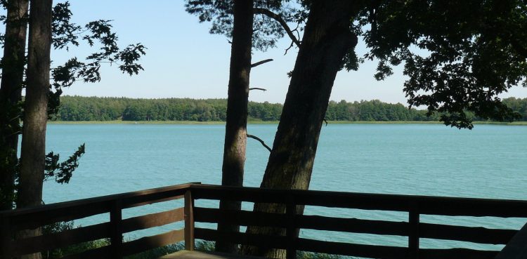 (Fot. wikimedia commons)