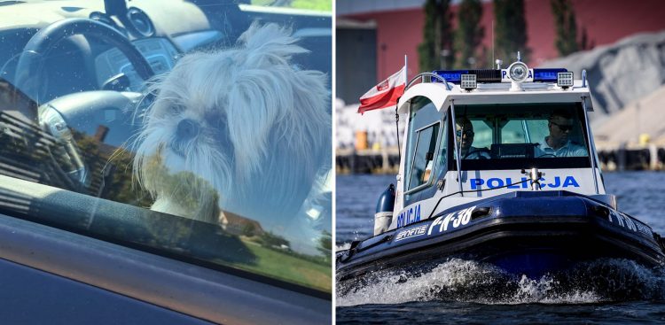 (Fot. KMP i KWP Gdańsk)