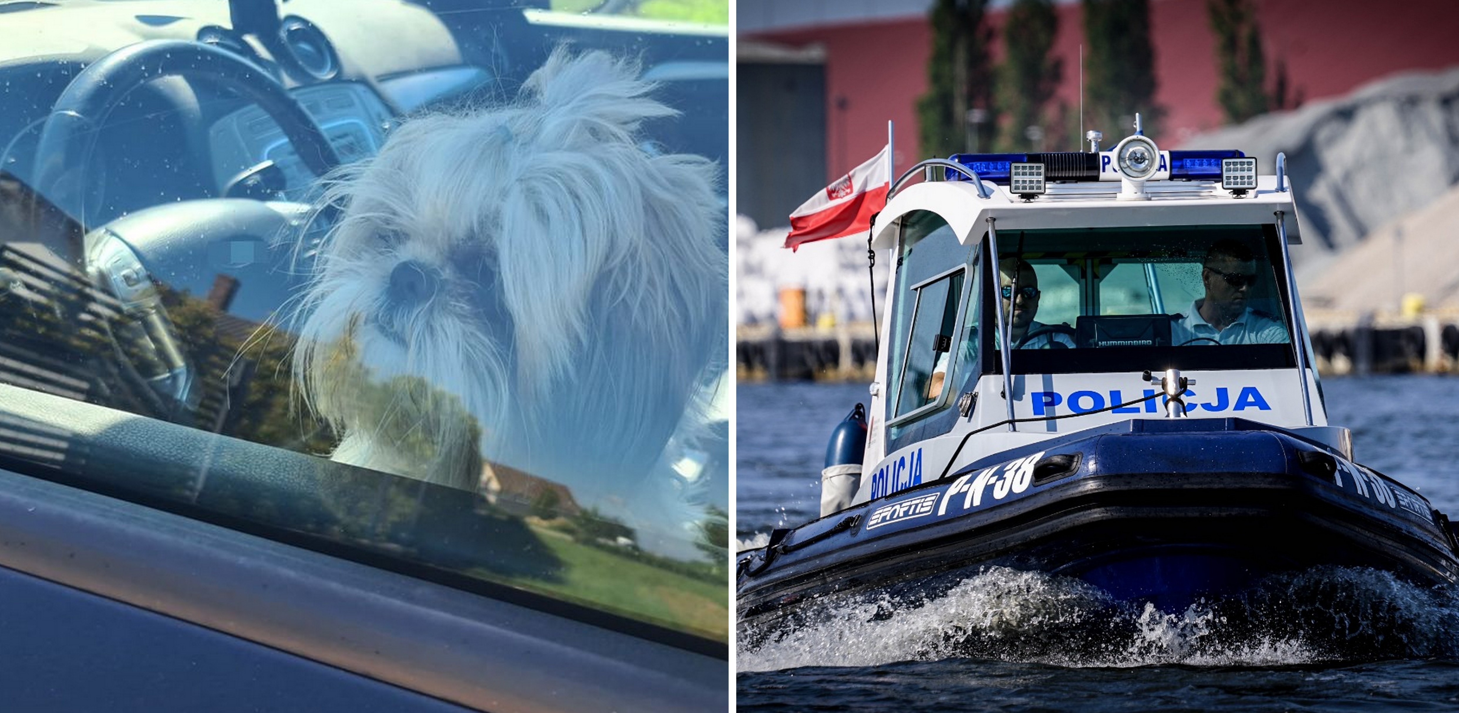 (Fot. KMP i KWP Gdańsk)