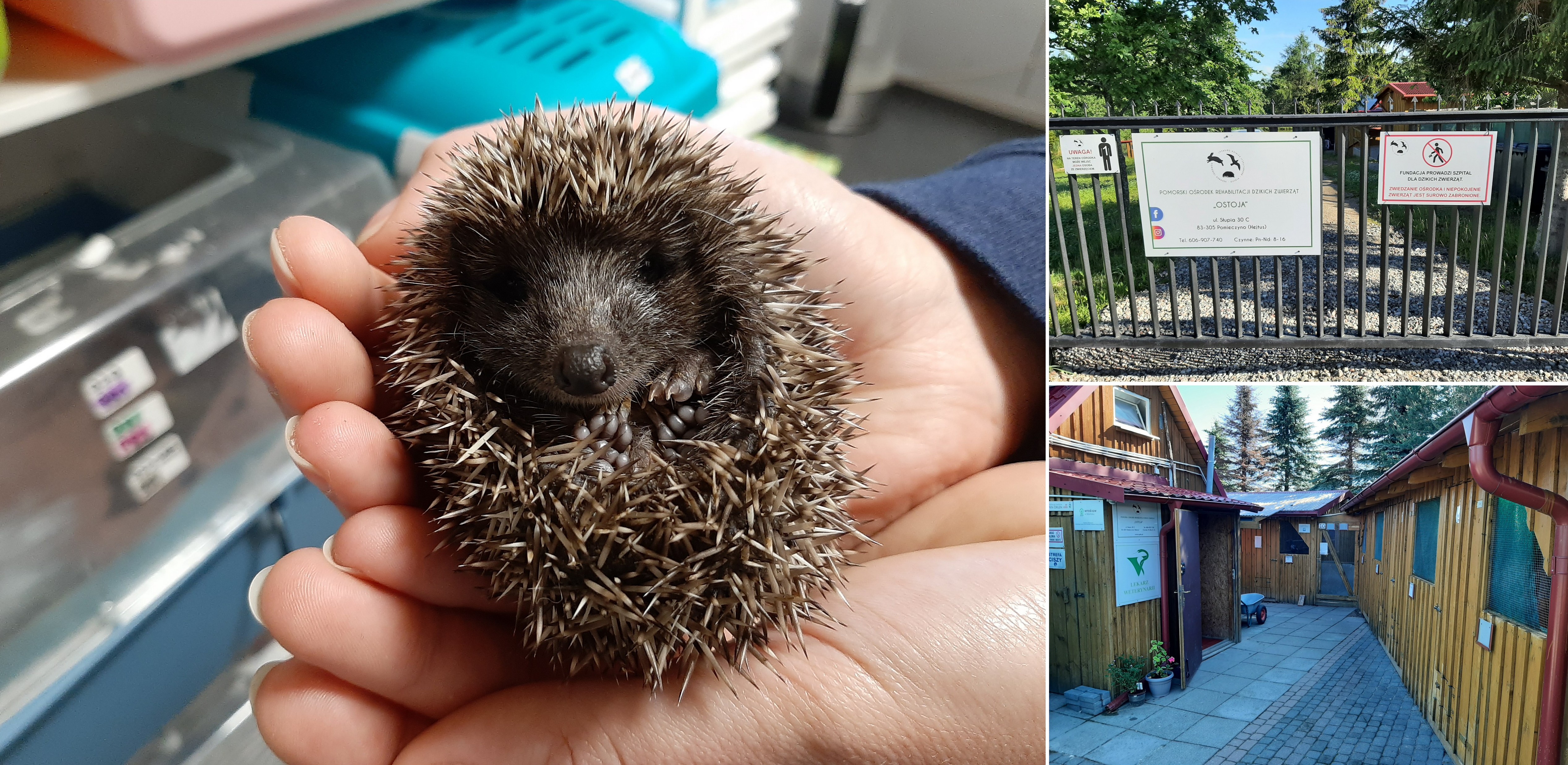 (Fot. Radio Gdańsk/Sebastian Kwiatkowski)